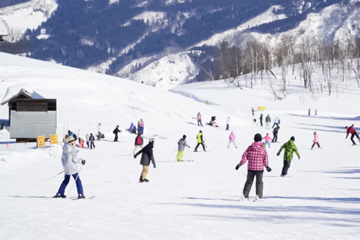 ニュー・グリーンピア津南 スキー場1