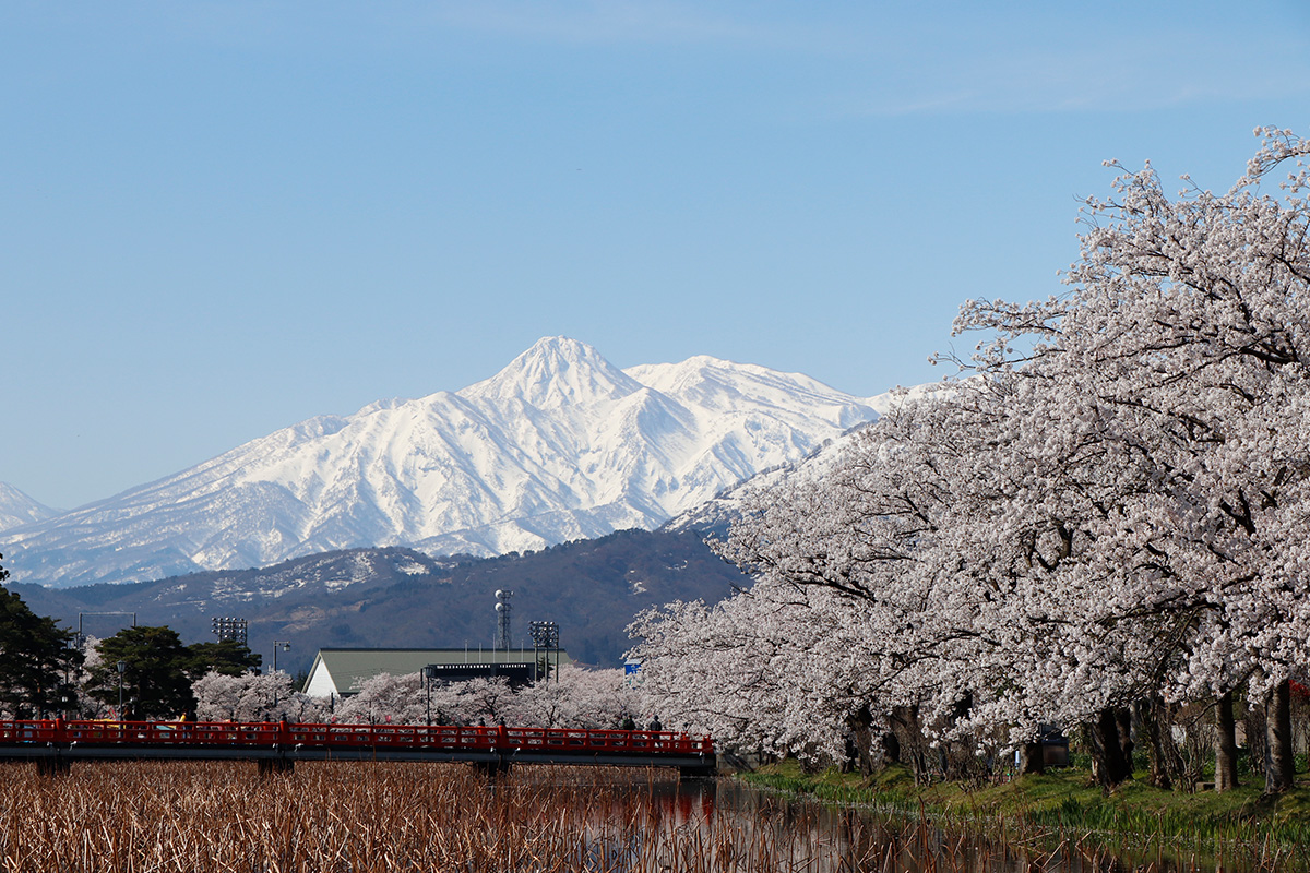 苗場 パノラマリフト