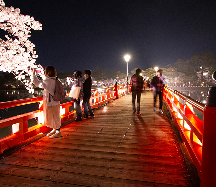 高田城址公園観桜会2