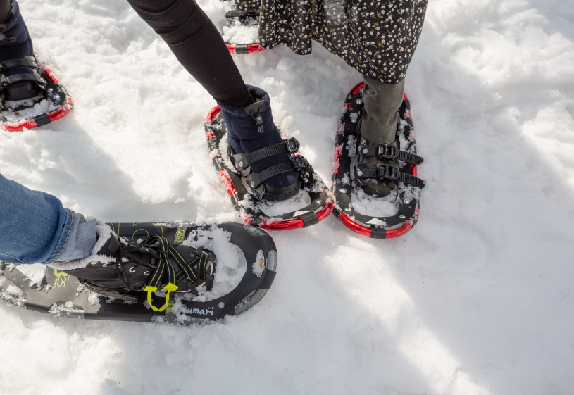 美人林スノーシュー1