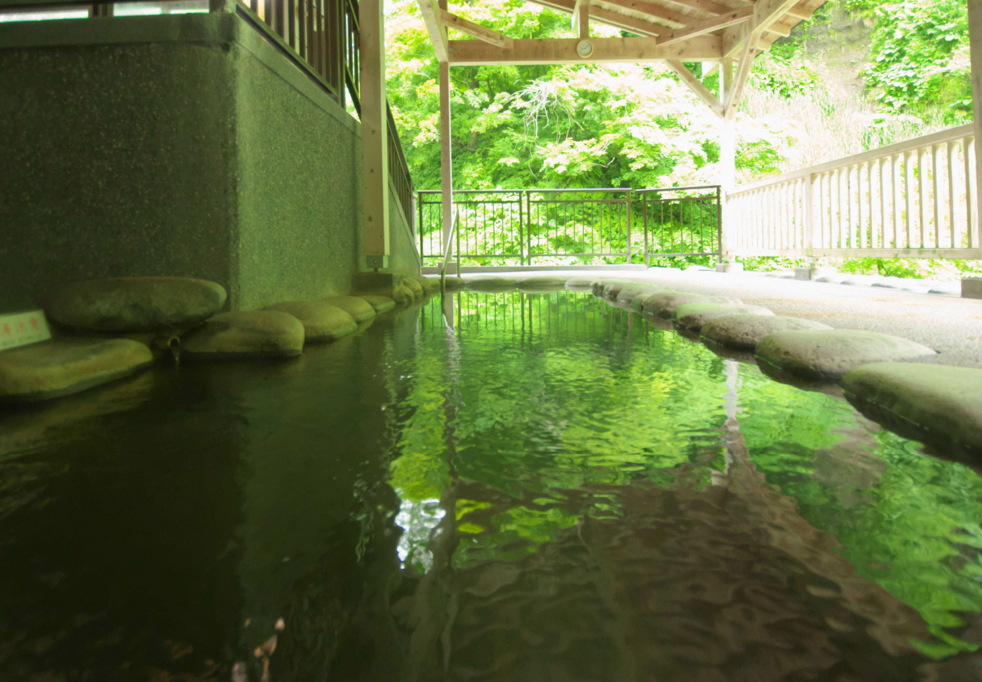 松之山温泉センター 鷹の湯1