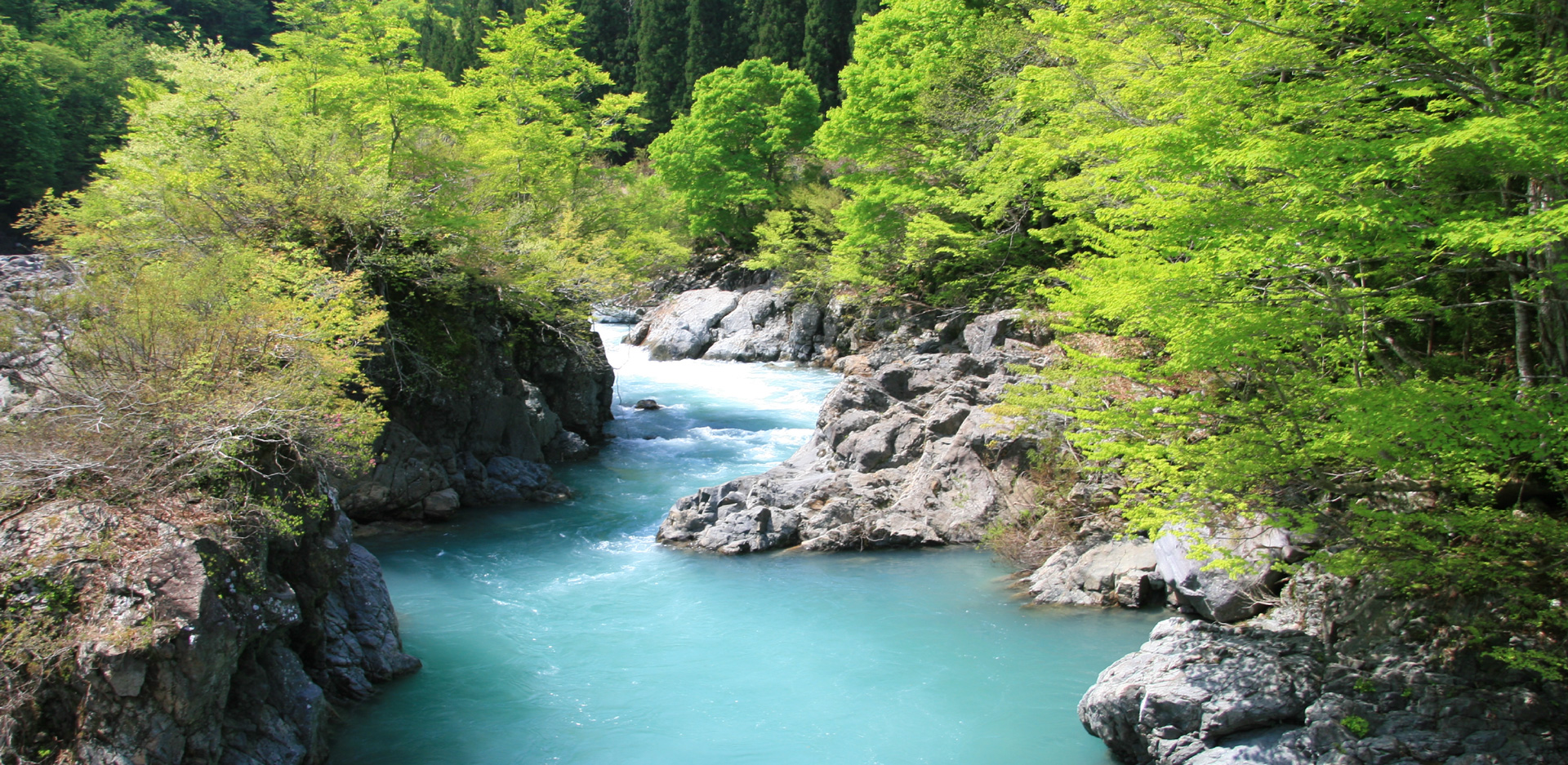 白瀧酒造直売店 shop & taproom Flow