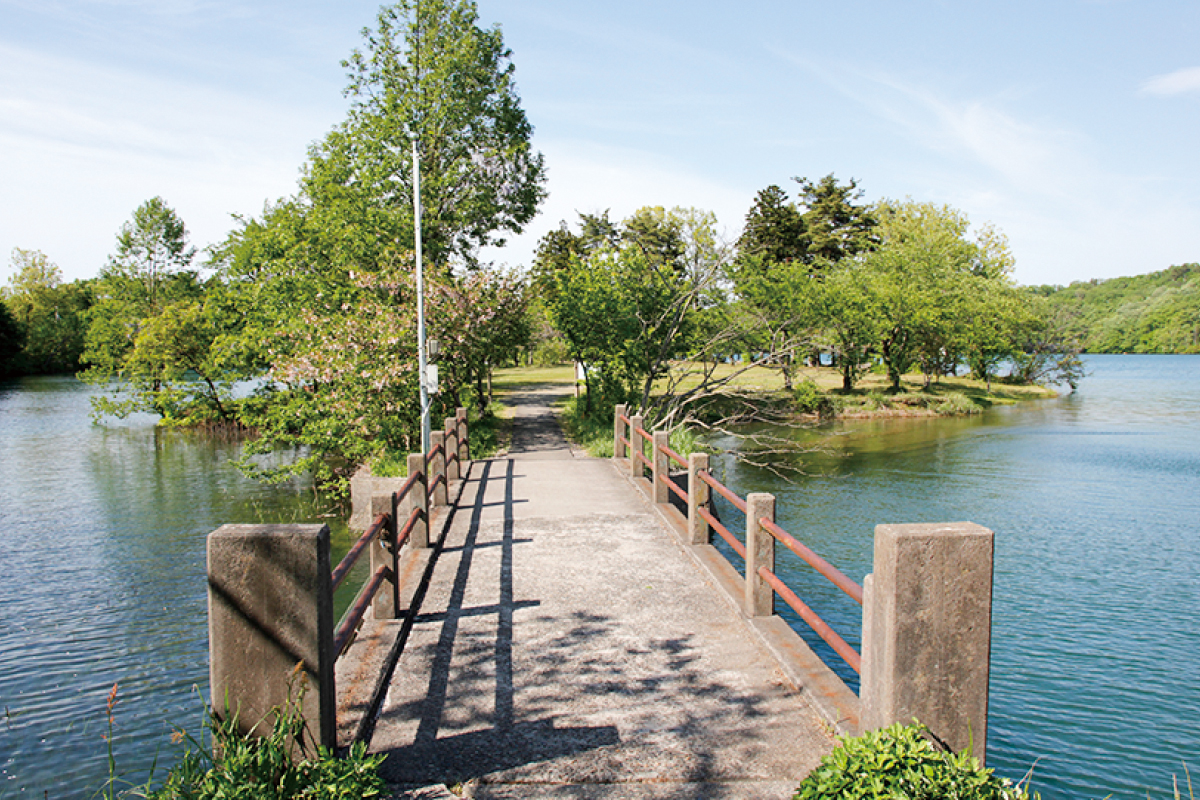 キャンプ場　第3キャンプ場