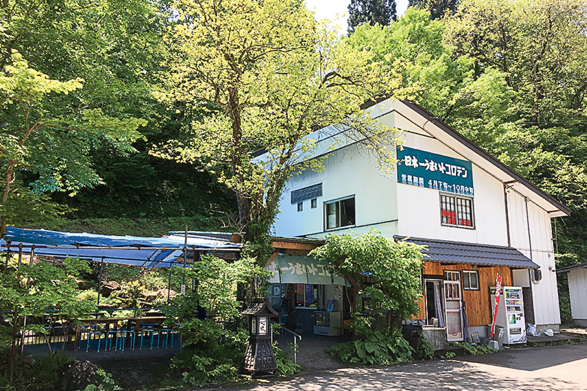 日本一うまいトコロテン