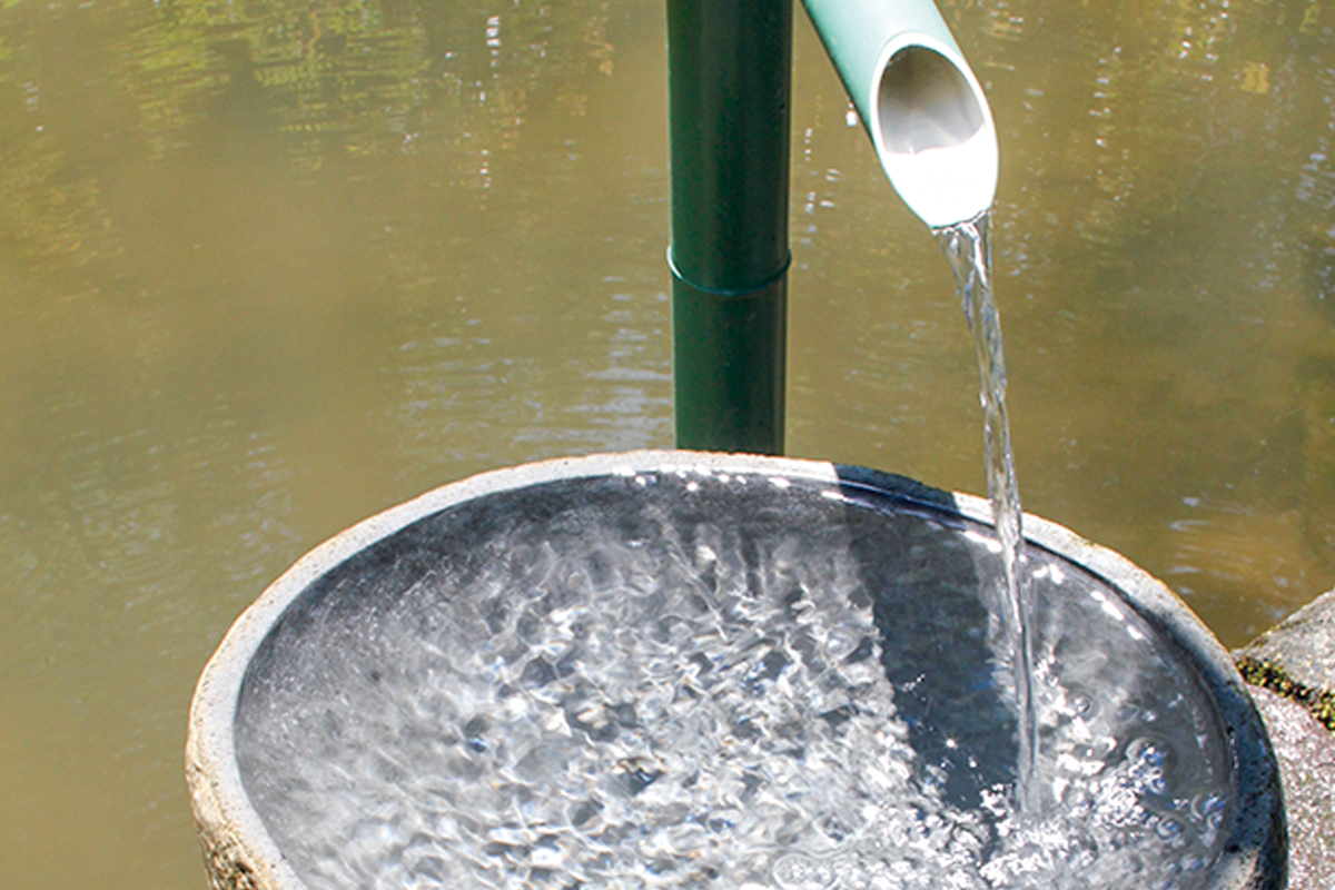 日本一うまいトコロテン