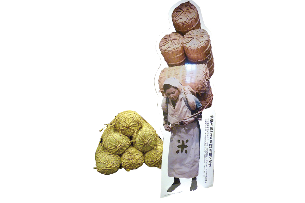 魚沼さんちのおすそわけ