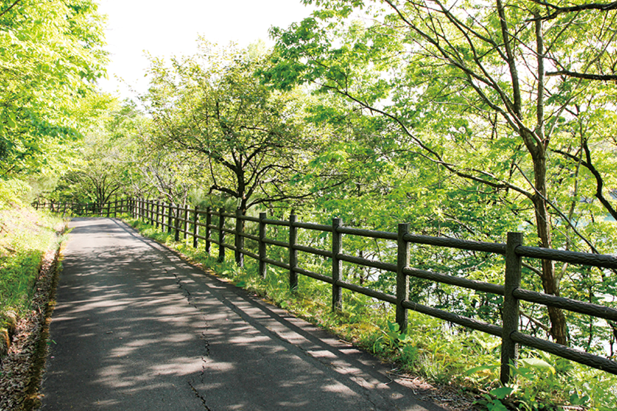 大池いこいの森ビジターセンター 池の周り